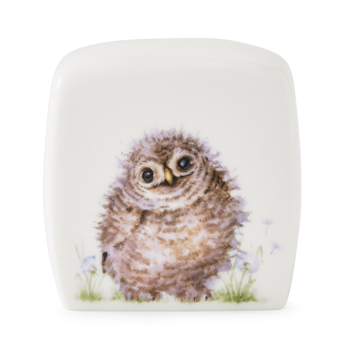 Little Wren Moneybox