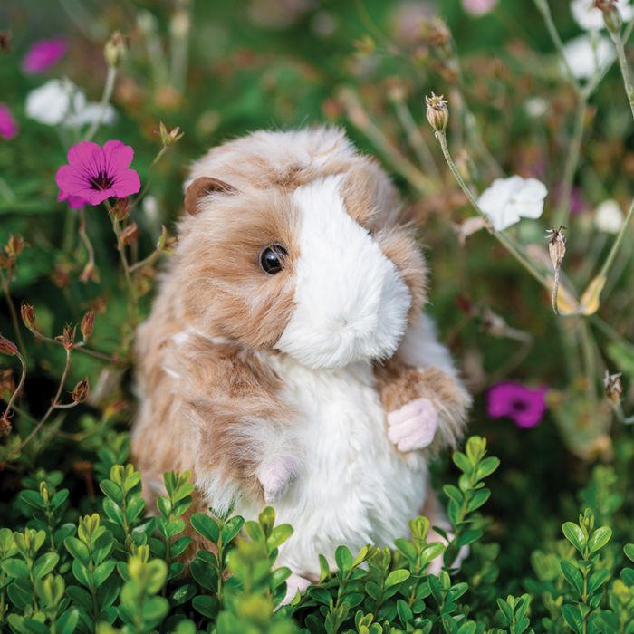 Guinea pig deals stuffed toy