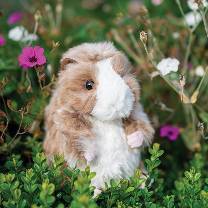 Guinea pig online stuffed toy